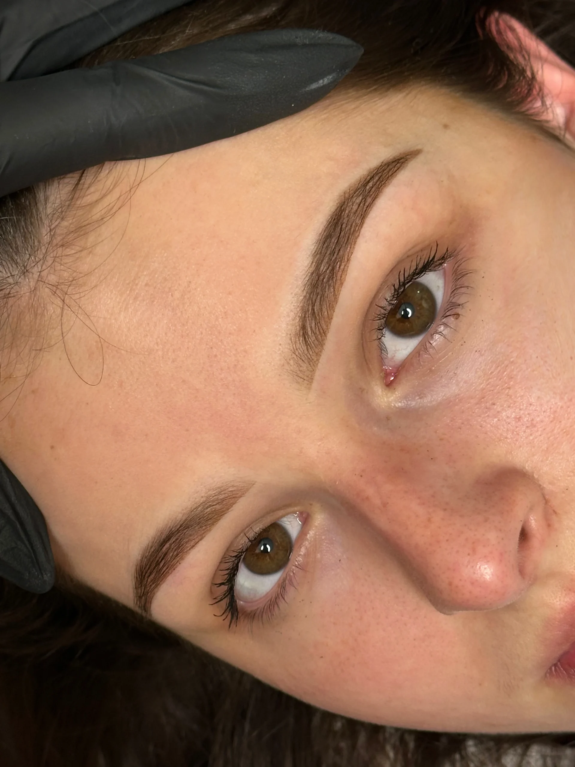 nafoto.closeup.model2.powderbrows